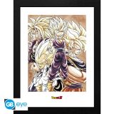 CADRE DRAGON BALL Z : SUPER SAIYANS 30X40