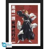 CADRE BLEACH : ICHIGO 30X40