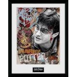 CADRE HARRY POTTER FRAMED PRINT 30X40