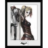 CADRE : BATMAN ARKHAM CITY HARLEY QUIIN 30X40