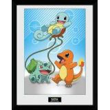 CADRE : POKEMON CARAPUCE BULBIZARRE SALAMECHE 30X40