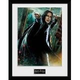 CADRE PROFFESEUR ROG SEVERUS SNAPE 30X40