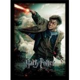 CADRE HARRY POTTER DEATHLY HALLOWSPART 2 30X40