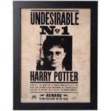 CADRE HARRY POTTER UNDESIRABLE N1 30X40