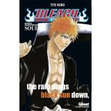 BLEACH OFFICIAL CHARACTER BOOK SOULS OCC